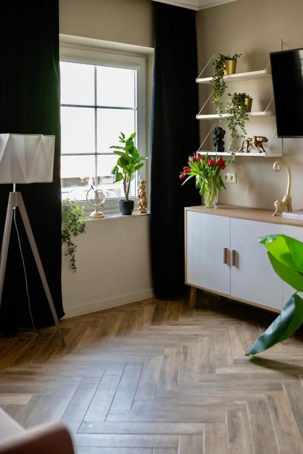 Apartamenty Zamkowe Centrum 克维曾 外观 照片